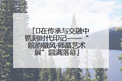 ﻿在传承与交融中镌刻时代印记——“皖韵徽风·师晶艺术展”圆满落幕