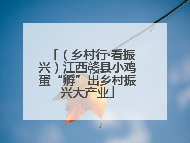 （乡村行·看振兴）江西赣县小鸡蛋“孵”出乡村振兴大产业