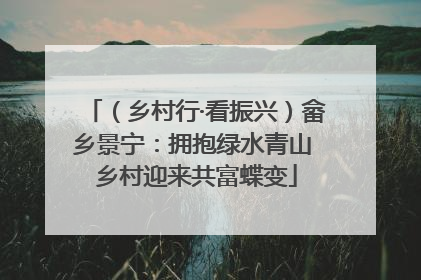 （乡村行·看振兴）畲乡景宁：拥抱绿水青山 乡村迎来共富蝶变