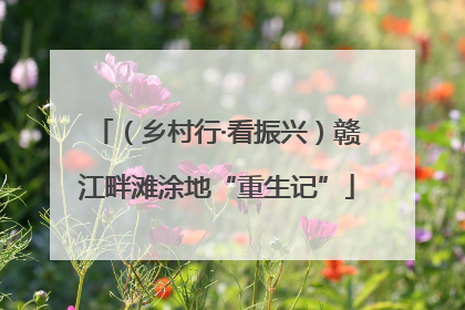 （乡村行·看振兴）赣江畔滩涂地“重生记”