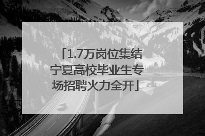 1.7万岗位集结 宁夏高校毕业生专场招聘火力全开