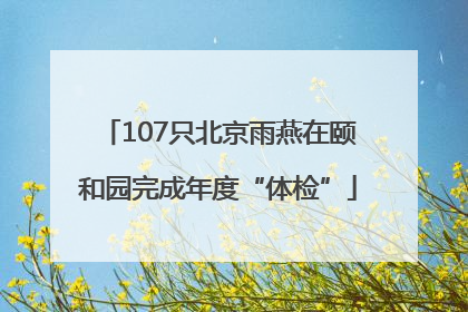 107只北京雨燕在颐和园完成年度“体检”