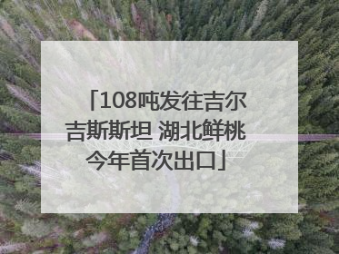 108吨发往吉尔吉斯斯坦 湖北鲜桃今年首次出口
