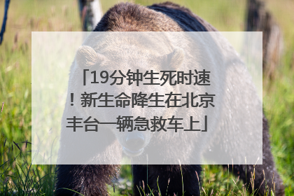 19分钟生死时速！新生命降生在北京丰台一辆急救车上