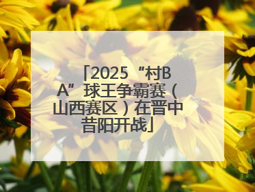 2025“村BA”球王争霸赛（山西赛区）在晋中昔阳开战