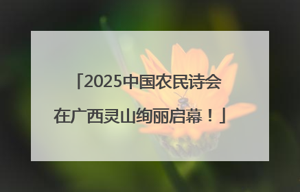 2025中国农民诗会在广西灵山绚丽启幕！