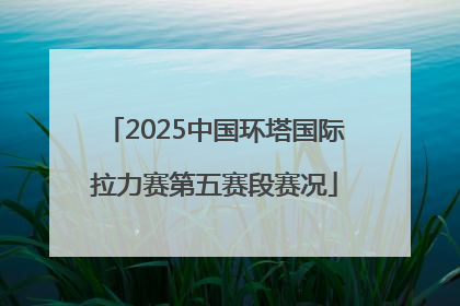 2025中国环塔国际拉力赛第五赛段赛况