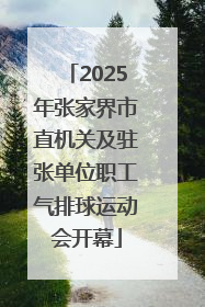 2025年张家界市直机关及驻张单位职工气排球运动会开幕