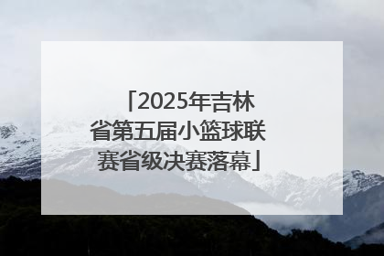 2025年吉林省第五届小篮球联赛省级决赛落幕