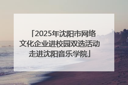 2025年沈阳市网络文化企业进校园双选活动走进沈阳音乐学院