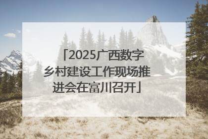 2025广西数字乡村建设工作现场推进会在富川召开