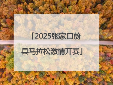 2025张家口蔚县马拉松激情开赛
