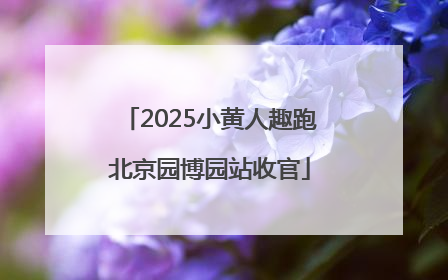 2025小黄人趣跑北京园博园站收官