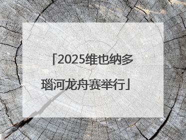 2025维也纳多瑙河龙舟赛举行