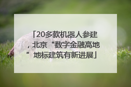 20多款机器人参建，北京“数字金融高地”地标建筑有新进展