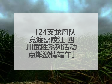 24支龙舟队竞渡嘉陵江 四川武胜系列活动点燃激情端午