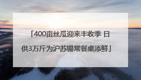 400亩丝瓜迎来丰收季 日供3万斤为沪苏锡常餐桌添鲜