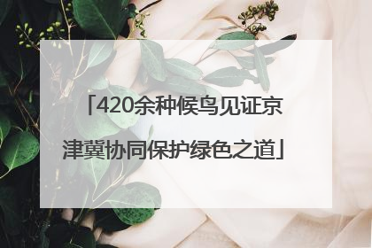 420余种候鸟见证京津冀协同保护绿色之道
