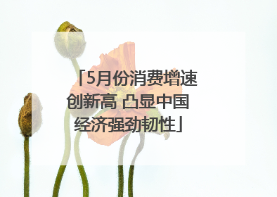 5月份消费增速创新高 凸显中国经济强劲韧性