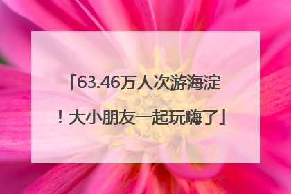 63.46万人次游海淀！大小朋友一起玩嗨了