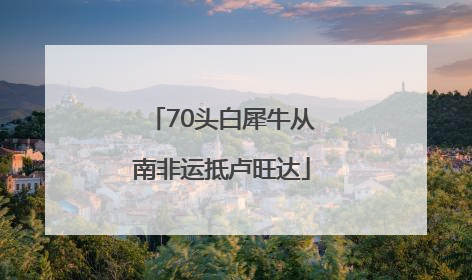 70头白犀牛从南非运抵卢旺达