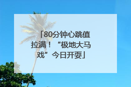80分钟心跳值拉满！“极地大马戏”今日开耍