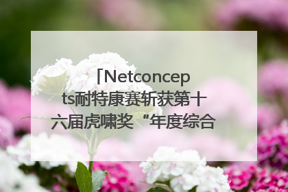 Netconcepts耐特康赛斩获第十六届虎啸奖“年度综合服务商”大奖